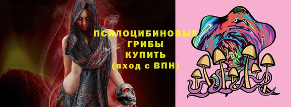 индика Бугульма