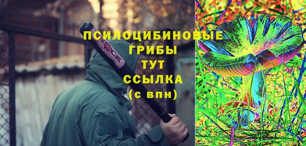 индика Бугульма