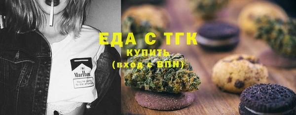 индика Бугульма