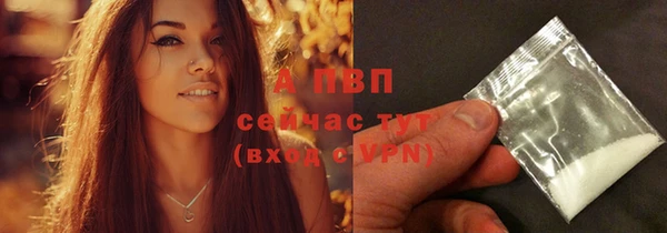 PSILOCYBIN Елабуга