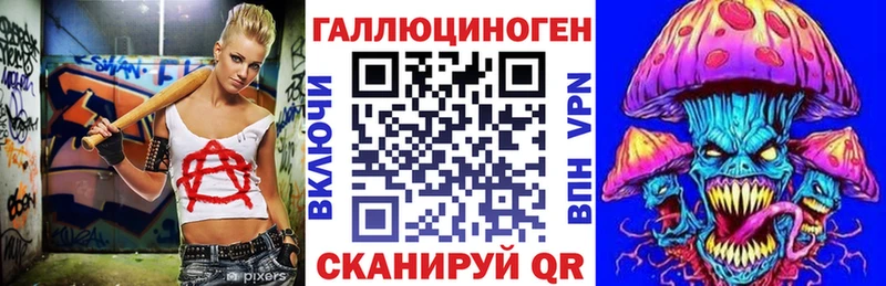 где можно купить наркотик  Новохопёрск  KRAKEN как зайти  Псилоцибиновые грибы Psilocybine cubensis 